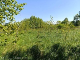 Продам зем участок с коммуникациями фото 8 Гурьевск