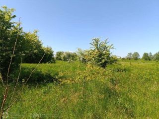 Продается зем участок с коммуникациями фото 3 Гурьевск