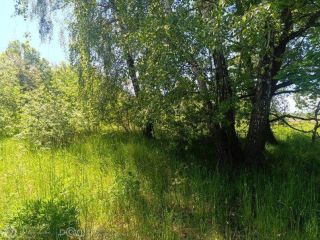 Продаю земельный участок с коммуникациями фото 8 Гурьевск