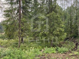Продаю участок земли подключена канализация с коммуникациями фото Всеволожск