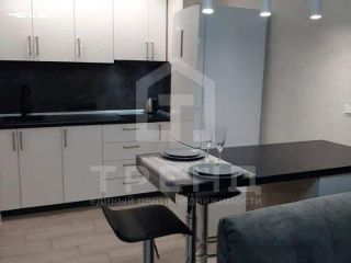 Продам студию с мебелью с плодоносящим садом фото 11 Санкт-Петербург