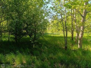 Продам участок земли с коммуникациями фото 5 Гурьевск