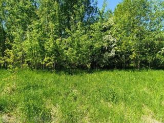Продам участок земли с коммуникациями фото 6 Гурьевск
