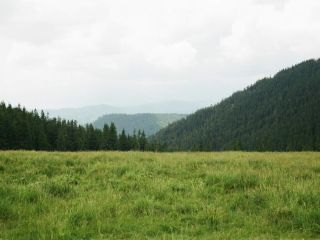 Продаю участок земли фото Шагонар