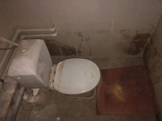 Продам офисное помещение есть электричество подключена канализация фото 36 Санкт-Петербург