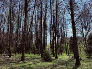 Продаю зем участок удобное расположение красивый фото Москва