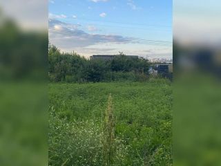 Продаю зем участок под личное подсобное хозяйство фото Видное