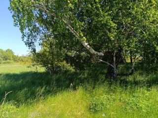 Продам участок земли с коммуникациями фото Гурьевск