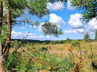 Продам деревянный дом косметический ремонт документы в полном порядке фото 2 Вастцы