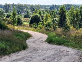Продам деревянный дом косметический ремонт документы в полном порядке фото 6 Вастцы