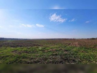 Продается участок земли фото Карталы