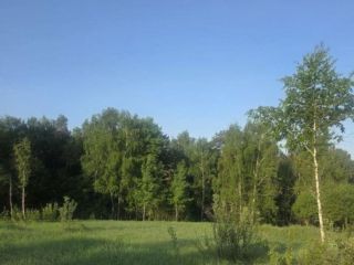 Продаю зем участок под личное подсобное хозяйство земля в собственности фото Коломна
