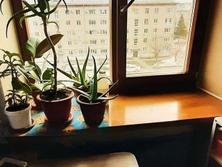 Продается студия необходим косметический ремонт кирпичный фото 4 Каменск-Уральский