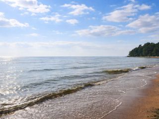 Продаю студию имеется охрана черновая отделка фото 27 Санкт-Петербург