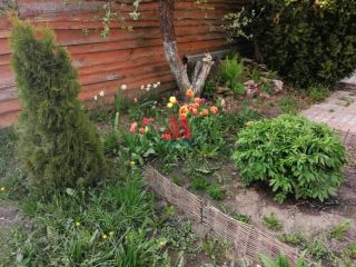 Продается деревянный коттедж взрослый собственник фото 4 Комсомольск
