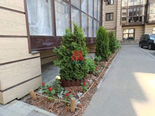 Продается 1 комнатная квартира с мебелью фото 32 Ярославль