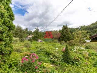 Продам деревянный дом с плодоносящим садом в садовом некоммерческом товариществе фото 10 Гаврилов-Ям