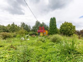 Продам деревянный дом с плодоносящим садом в садовом некоммерческом товариществе фото 12 Гаврилов-Ям