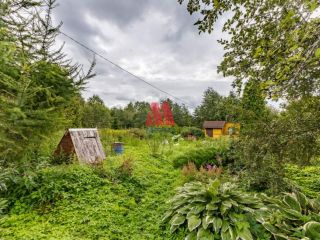 Продам деревянный дом с плодоносящим садом в садовом некоммерческом товариществе фото 18 Гаврилов-Ям