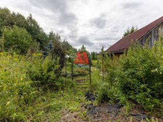Продам деревянный дом с плодоносящим садом в садовом некоммерческом товариществе фото 13 Гаврилов-Ям