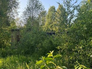 Продам нежилое помещение с коммуникациями фото 2 Санкт-Петербург