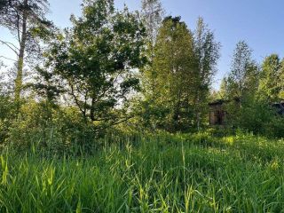 Продам нежилое помещение с коммуникациями фото 3 Санкт-Петербург