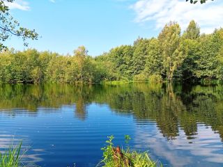 Продается дача черновая отделка в садовом некоммерческом товариществе удобный подъезд фото 5 Бор, СНТ Прогресс, 411