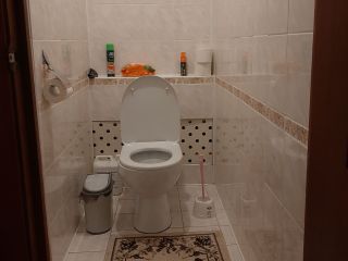 Продается кирпичный дом косметический ремонт рядом асфальт фото 21 Село Подсосенки
