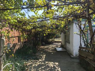 Продам участок земли асфальтная дорога с плодоносящим садом фото 2 Краснодар