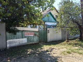 Продам участок земли асфальтная дорога с плодоносящим садом фото 3 Краснодар